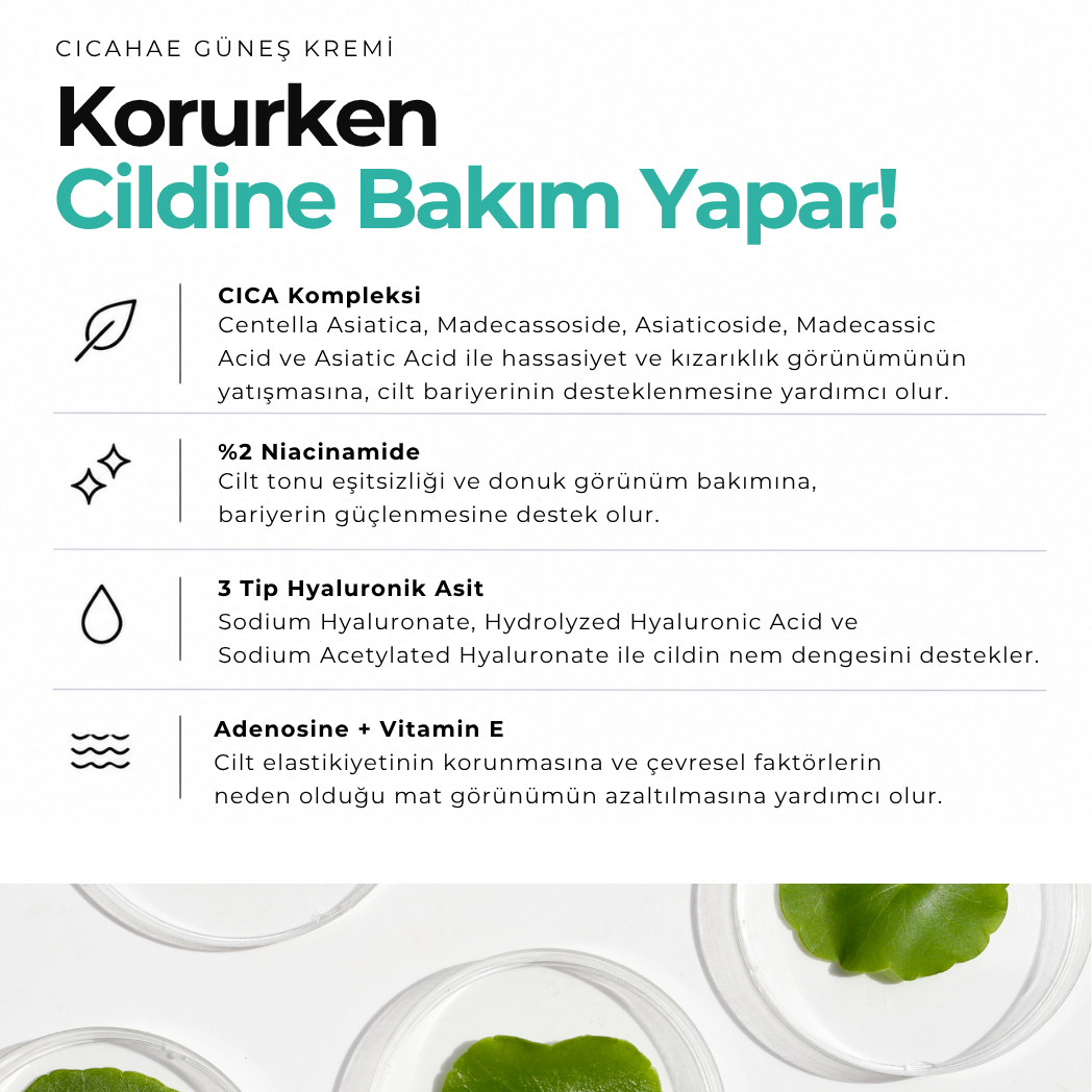 Cicahae Güneş Kremi 50 mL