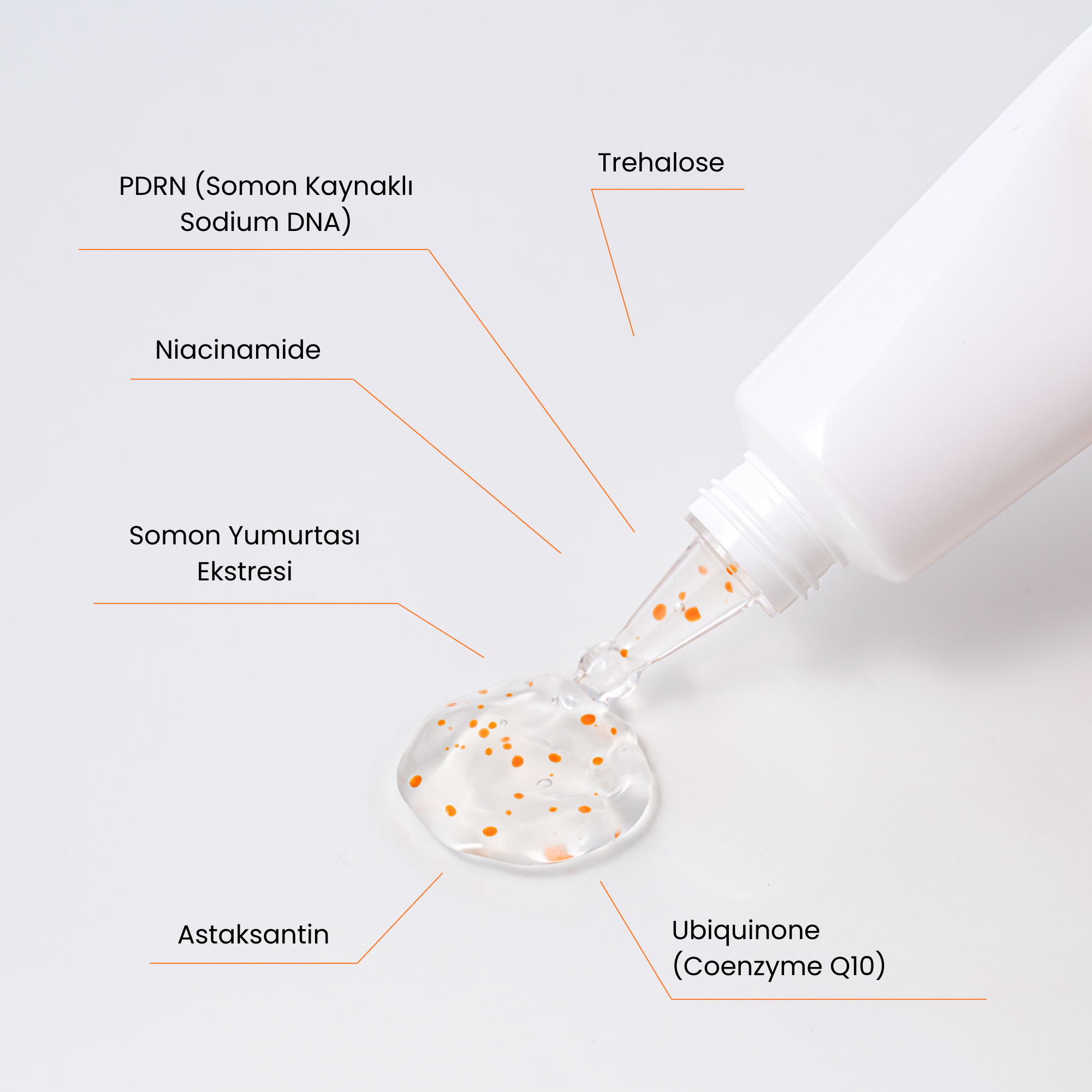 PDRN Bounce Ball Cream 50 mL